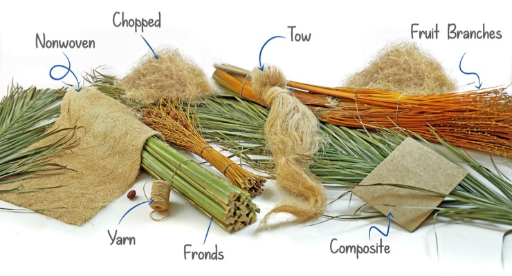 Các nhà nghiên cứu Ai Cập chiết xuất sợi dệt dài đầu tiên từ sản phẩm phụ của cây chà là