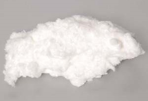 GP Cellulose kiếm được khoản đầu tư 80 triệu đô la để tăng thêm công suất bột giấy
